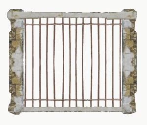 高濃度幹細胞エッセンスは本当に安全なのか？