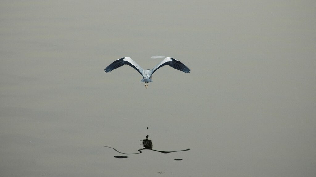 高濃度幹細胞美容液の口コミで選ぶべきおすすめ商品は？