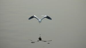 高濃度幹細胞美容液の口コミで選ぶべきおすすめ商品は？