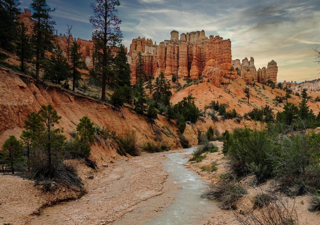 再生医療とコスメ、どっちが美容に効果的？