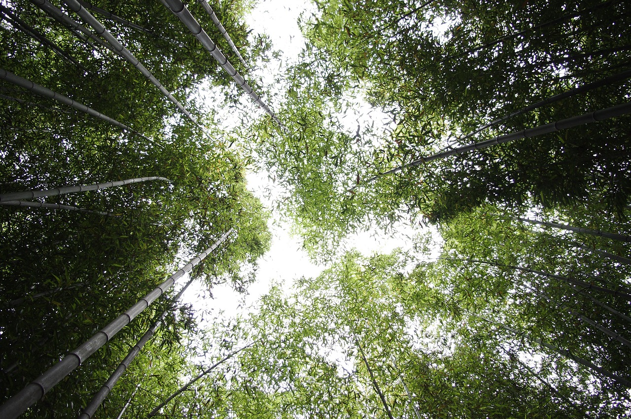 再生医療とコスメのどっちが美容に効果的なのか？