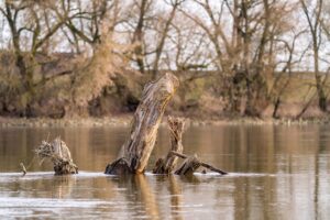 40代が知っておくべき幹細胞コスメの偽物の見分け方は？