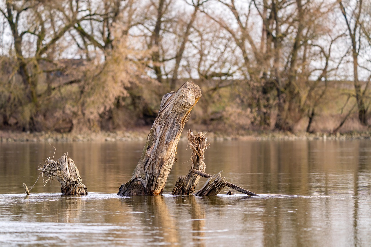 40代が知っておくべき幹細胞コスメの偽物の見分け方は？
