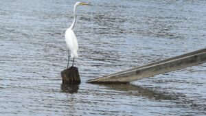 40代におすすめの幹細胞コスメの効果はどこまで期待できる？