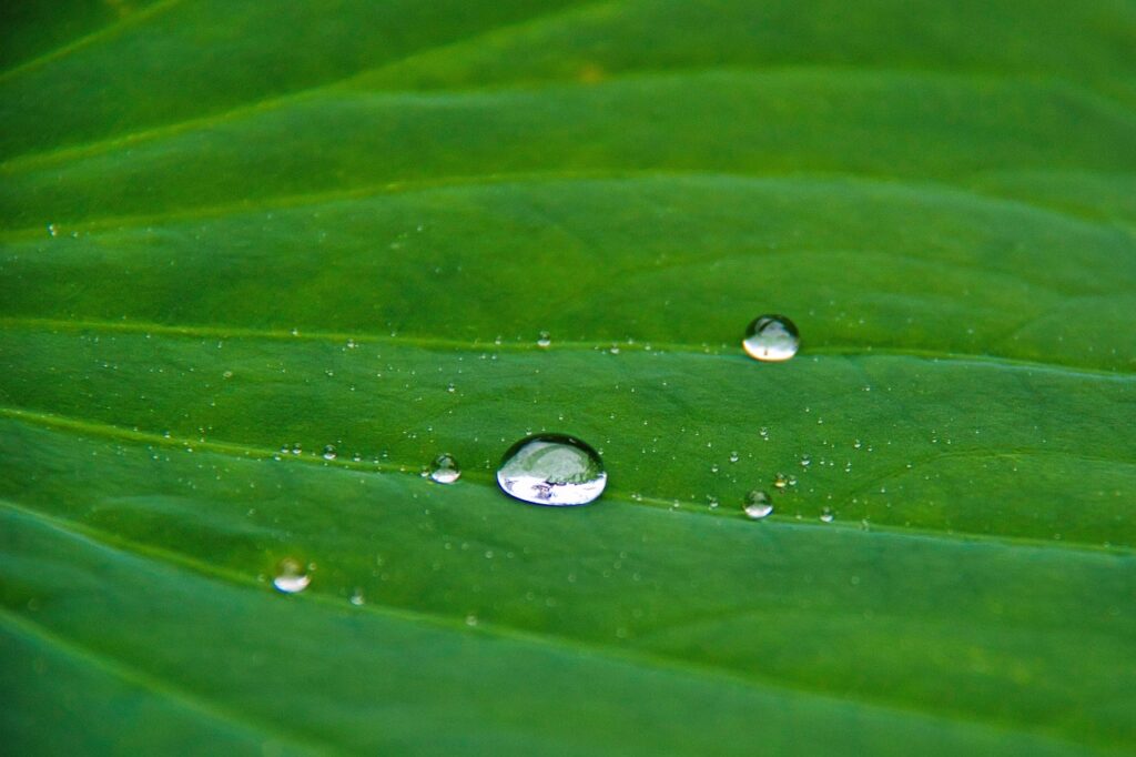 エクソソーム点滴の効果は本当に期待できるのか？