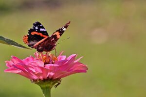 幹細胞コスメの偽物を見抜く方法は？