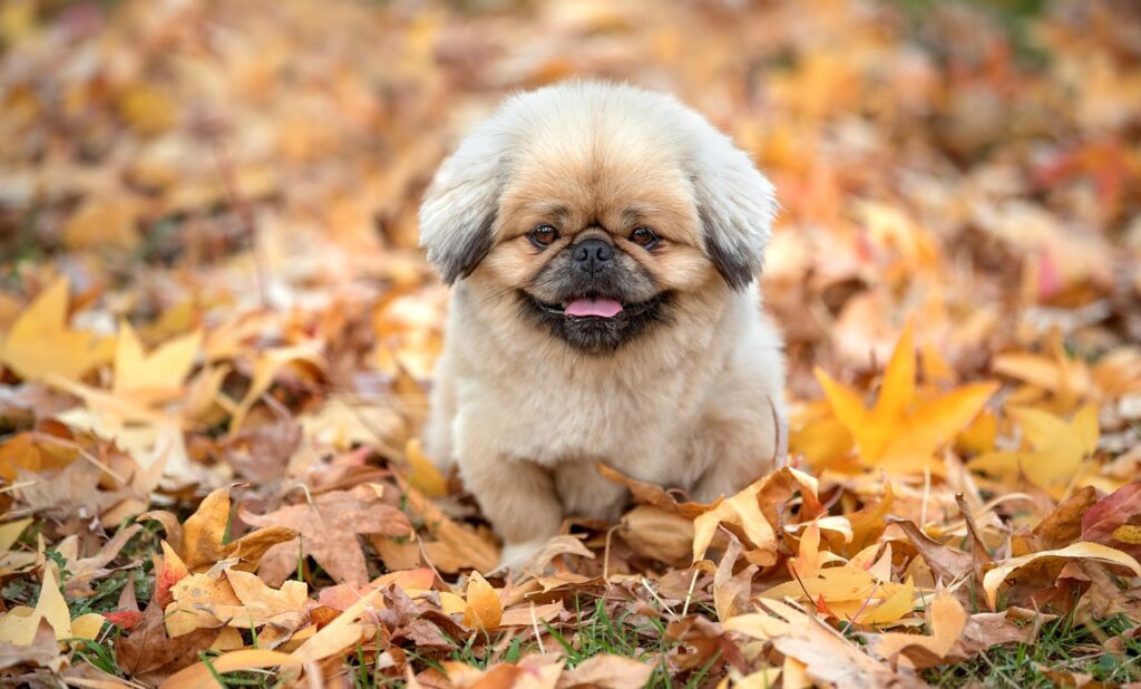 40代がレチノールの効果を実感するのはいつ出る？