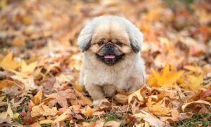 40代がレチノールの効果を実感するのはいつ出る？