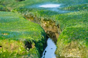 40代の老け手を改善する方法は？