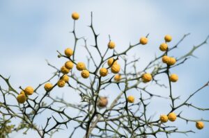 40代の顔の乾燥が老化連鎖を引き起こす理由とは？