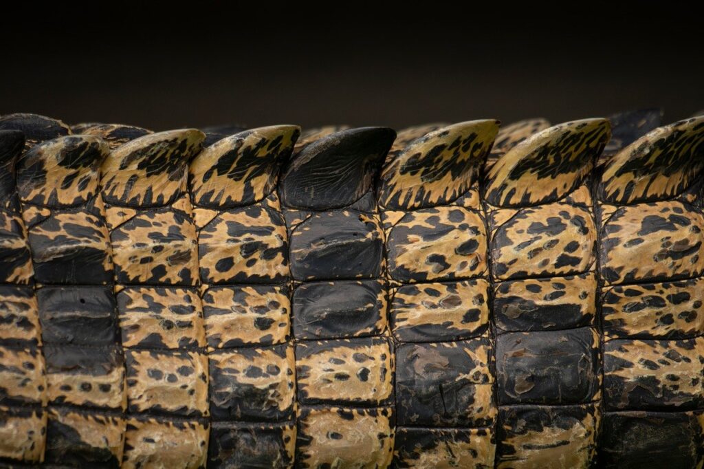 40代が肌代謝を上げる方法は何ですか？