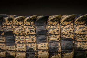 40代が肌代謝を上げる方法は何ですか？